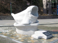 삼척 새천년 도로에 곰치 등장