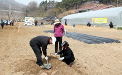 농협 동해시지부 도시민 농사체험