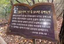 문학·자연이 숨쉬는 곳으로 봄 나들이 오세요