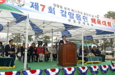 갈말읍민 체육대회