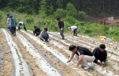 한국농어촌공사 홍천춘천지사 복지시설 봉사활동