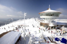 [동계올림픽 유치 꿈 든든한 동반자 되다] 1. 하이원이 달렸다