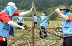 이런 휴가 어떠세요