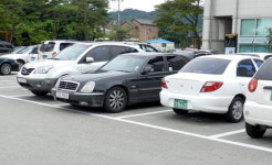 고성군 승용차 5부제 겉돈다