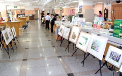 태백우체국 수채화작품 전시회