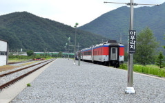 [태백선, 산업선에서 관광선으로] 5. 아우라지역