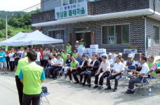 홍천 돌배마을 야생화 축제
