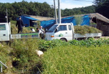 농어촌공사 홍천춘천지사 자생풀 제공