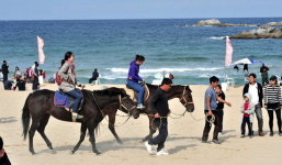경포해변 관광객 북적