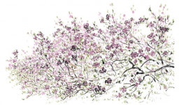 화폭에 담은 산수의 희로애락