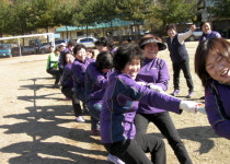 강릉 왕산면민 한마음 체육대회