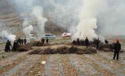 정선 농산 부산물 공동 소각