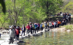 [2011 강원문화 리뷰] 5. 복지·종교