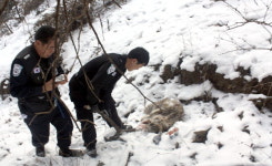 야생동물 밀렵행위 사람도 위험합니다