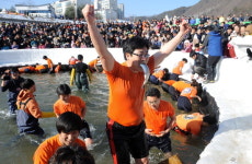 강원도 겨울엔 즐거움 있다