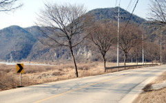 직선·곡선 미학. 문화·자연 조화. 봄 문턱 영월의 낭만