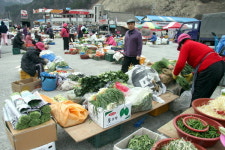 통리고개에 담긴 광산촌 애환… 봄 맞은 통리 5일장의 활기