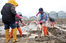 분주한 농업인들