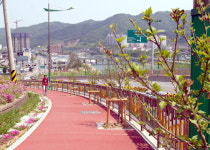 홍천 무궁화 테마거리 조성