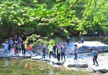 [화보] 오대산 천년의 숲 옛길따라 걷기대회
