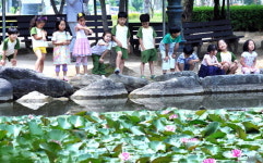 화창한 날 연꽃 구경