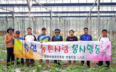 평창영월정선 축협 영월지점 농촌 일손돕기