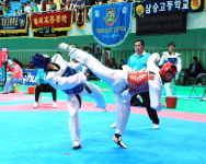 경희대 총장기 태권도대회