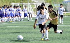 球都 강릉 고교 축구 유망주 집결