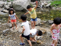 철원 와수초교 병설유치원 자연 체험 활동