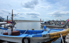 스크린의 고향 강릉, 그곳에 가면… 나는최민수 너는고현정