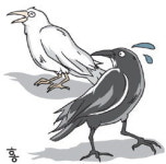 백오(白烏)