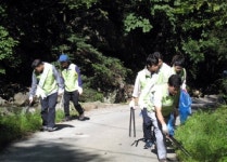 영월국유림관리소 산림정화활동