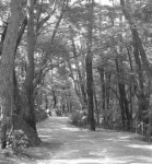 힐링 가득 강원 명품길 한눈에