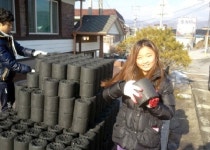 육군 6사단 전차대대·신철원초교 연탄 전달