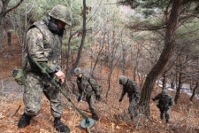 양구 팔랑리 폭발물 탐지활동 활발