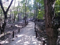 [설악산 명상길] 山寺서 딱 하루 한걸음만 천천히…