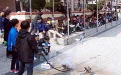 춘천 우석초 과학의 달 행사