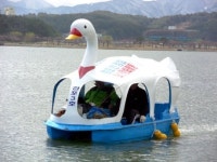 강릉 경포동 번영회 호수정화 활동