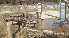 강릉 사임당공원 흉물 방치