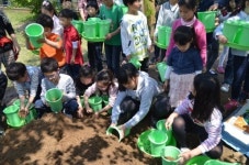 동해교육청 토요 원예체험