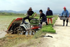 마음은 이미 풍년