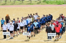 대관령면 직장 사회단체 친선체육대회