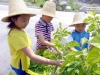 철원 문혜초 누에 체험장 방문