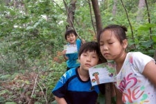 나무친구야 잘 자라렴…영월 녹전초 숲 교육 눈길
