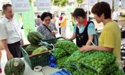 어떤 것이 싱싱하려나…