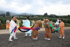 동해 봉정마을 연꽃축제