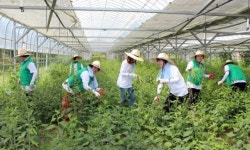 KB국민은행 농촌봉사