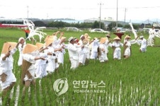 [민속을 찾아 떠나는 힐링투어] 23. 백중-농자의 축제