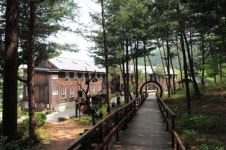 노루·토끼 노는 숲… 전설과 유적도 고이 간직