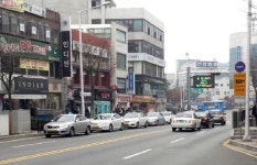 [춘천][현장에선] 춘천 명동 택시 불법 정차 극성